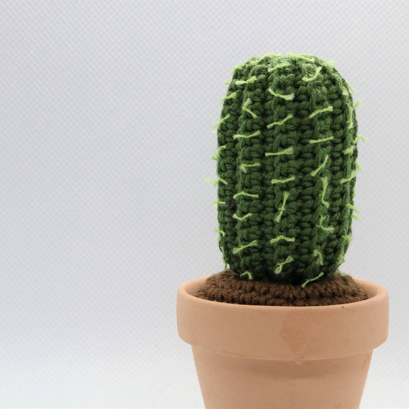 Niahs Små Planter
