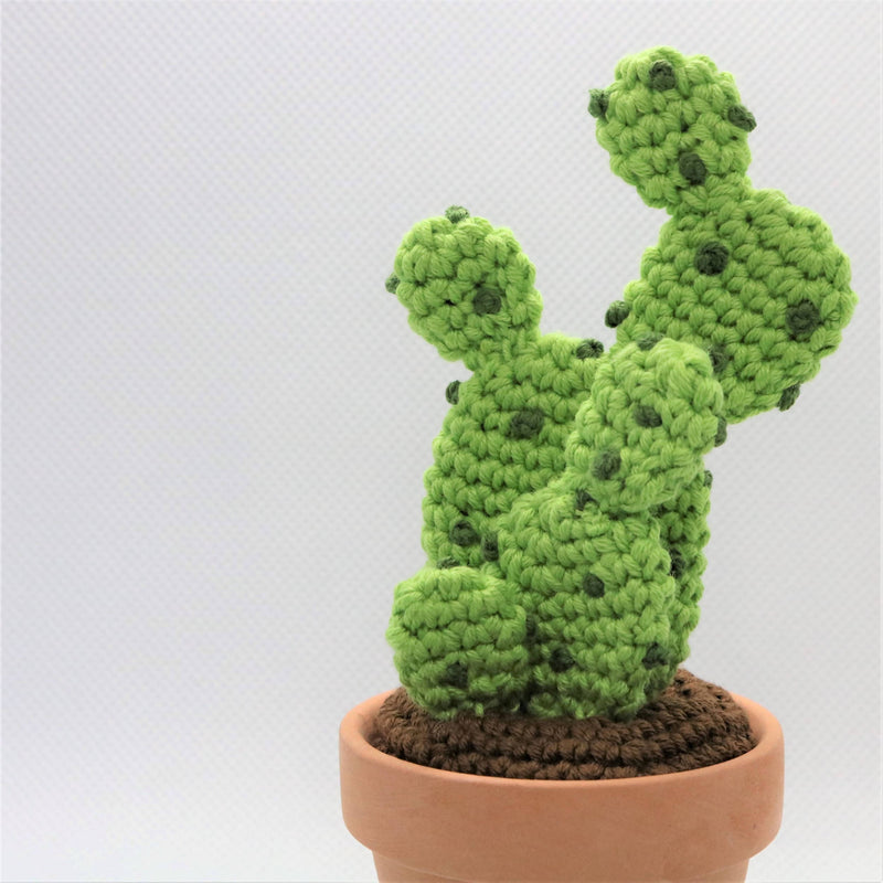 Niahs Små Planter