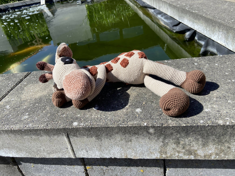 Giraffen “BABY Raffi”