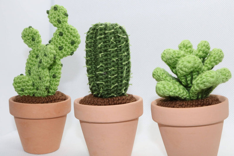 Niahs Små Planter