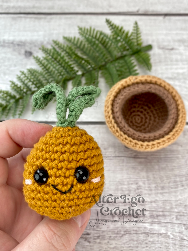 Kartoffel i Potte (Planter i Krukker)