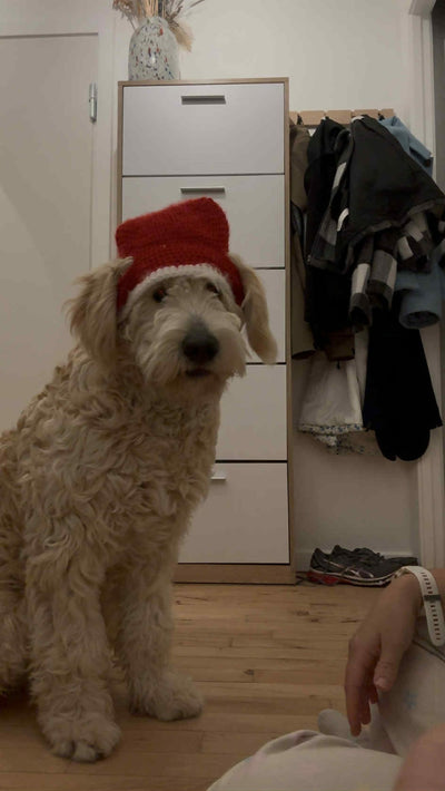 Alle hækleopskrifter